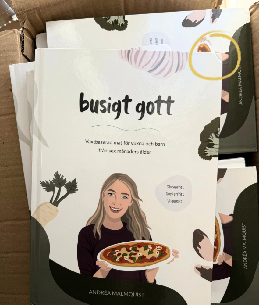 Busigt gott – Kokbok (OUTLET – små hörnskador)